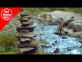 Relaxing Japanese Music - Zen Garden (instrumental)