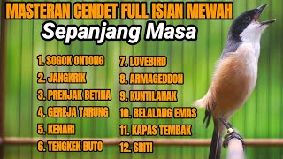 Masteran Cendet Gacor Paling Ampuh Bikin Cendet Langsung Nyaut Dan Ikut Gacor Dengan Suara Ini