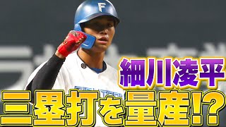 【快足飛ばして】細川凌平『タイムリー三塁打含むマルチ安打』