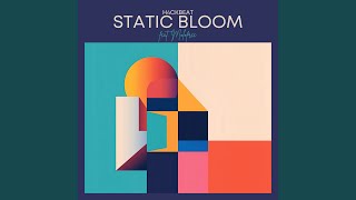 Static Bloom