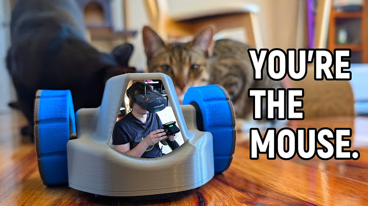 I made a real VR cat and mouse game!