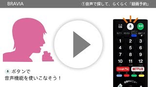 ソニー 液晶テレビ ブラビア 音声でかんたん録画予約・再生