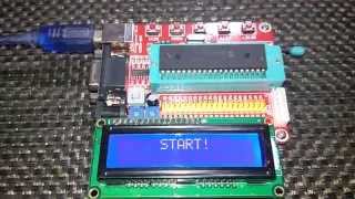 Test of Microchip PIC's RAM Data Retention After Reset Update