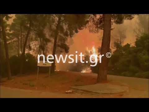 Πευκί: Συναγερμός για τη μεγάλη φωτιά