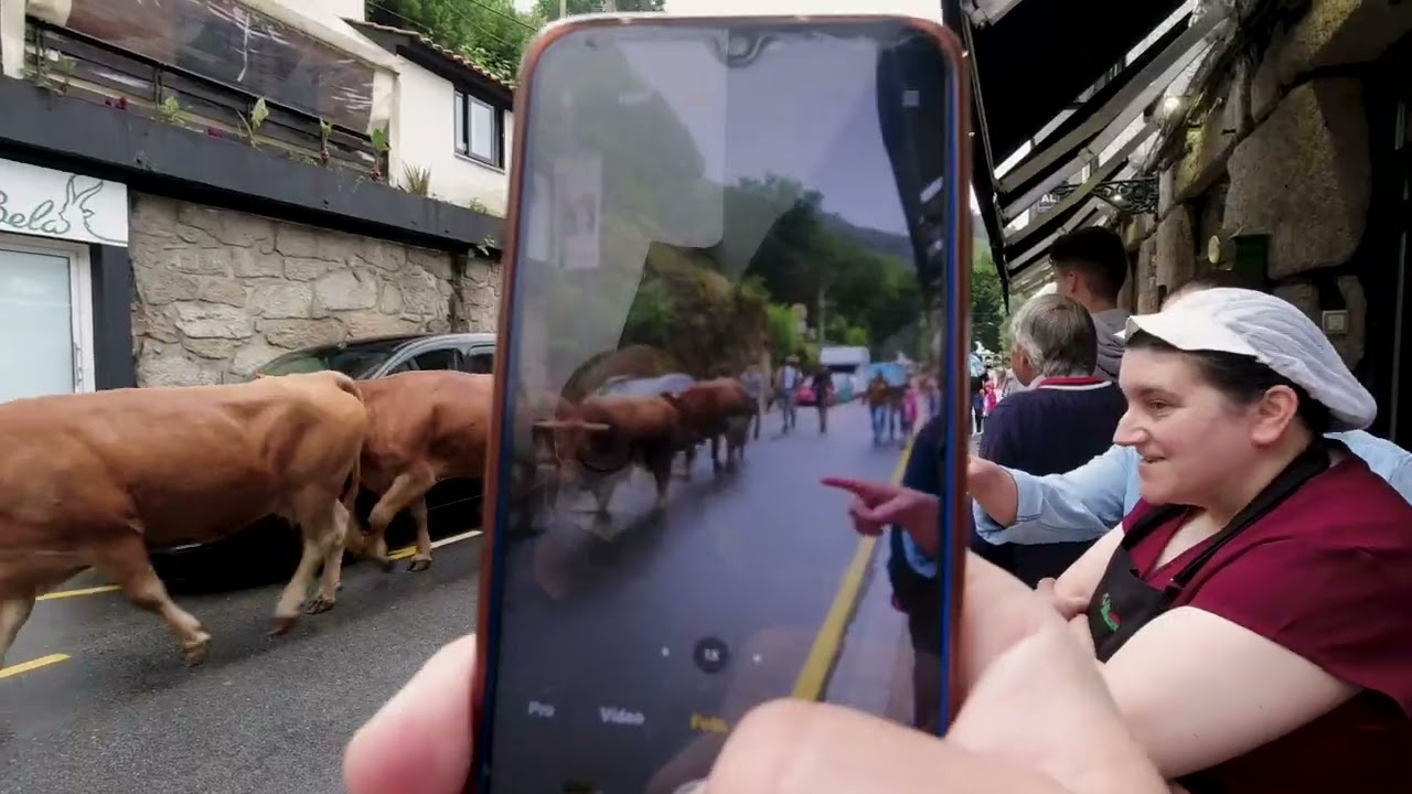 Documentário - A Vezeira de Vilar da Veiga