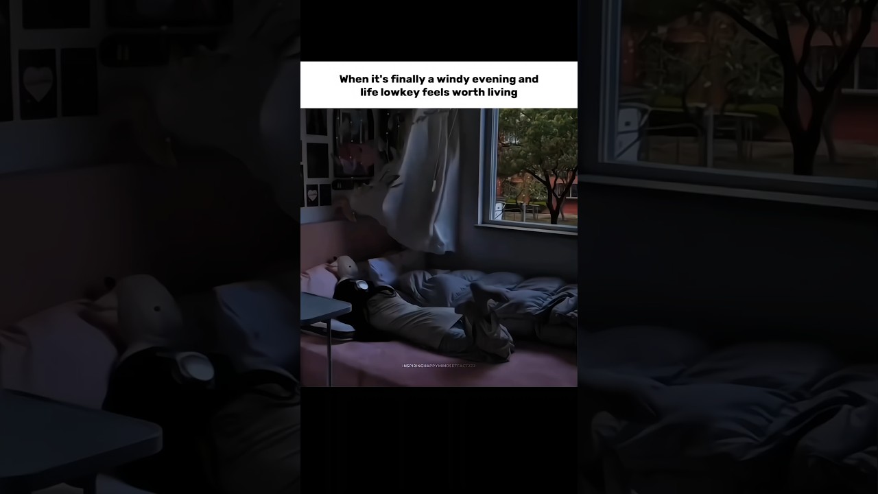 Windy evenings heal in ways nothing else can 🍃 #shorts #weather #relatable #shortsfeed #trending