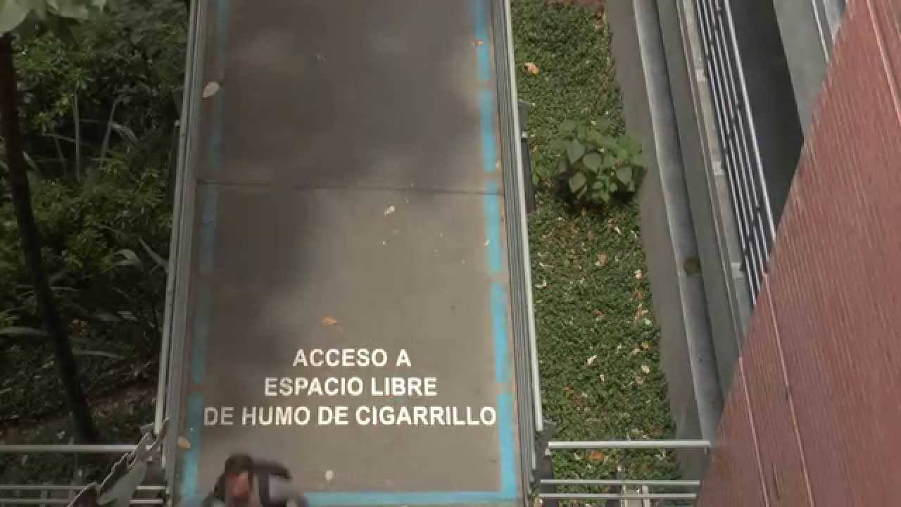 Leer el libro alena el castigo como dejar fumar
