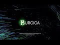 Burcica productions 2022present