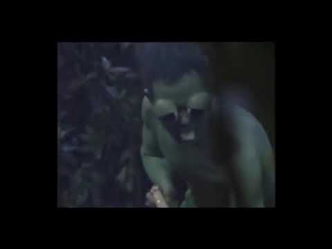 幼稚園っていうのはねぇ