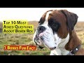 Top 10 Most Asked Question About Boxer Dog Rex And 1 Fun Fact