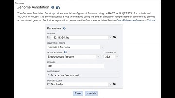 Annotating a genome in BV-BRC