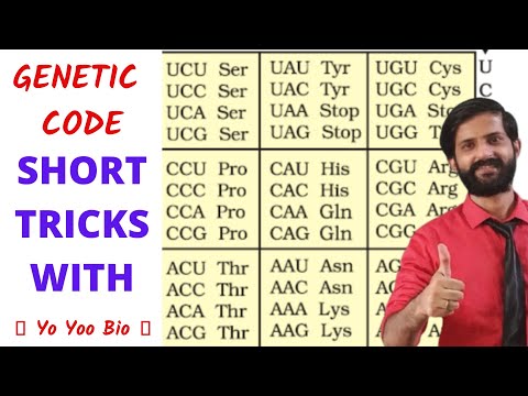 How to remember Genetic code | Codon and amino acids | Short tricks with yo yoo bio