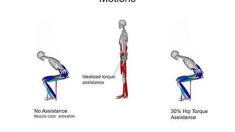 Predictive Human in the loop Simulations for Assistive Exoskeletons