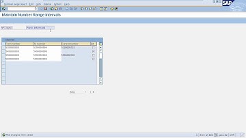 SAP MM - Purchase Info Record