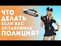 Что делать, если вас остановила полиция? Незаконные действия и требования полиции.