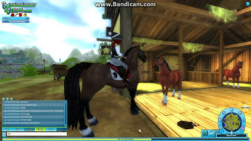 SSO- Random Video =)