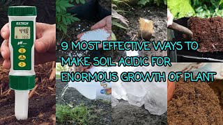 9 MOST EFFECTIVE WAYS TO MAKE SOIL ACIDIC FOR ENORMOUS GROWTH OF PLANTS