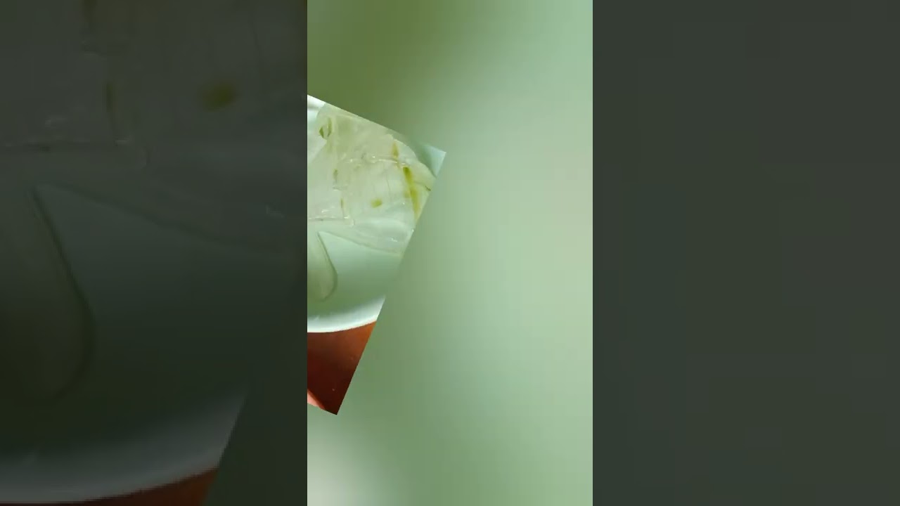 Aloe Vera Juice Uses How Much Aloe Vera Juice To Drink Daily YouTube Aloe Vera Juice Uses How Much Aloe Vera Juice To Drink Daily YouTube