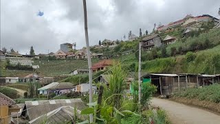 KEINDAHAN DESA WONOKERSO DI PUNCAK GUNUNG PUNDAK LEMBU P30 KABUPATEN PROBOLINGGO