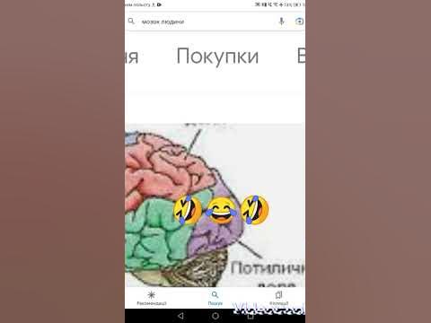 АБОБУС - YouTube
