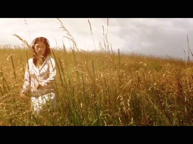 Sally Shapiro - Miracle (Bogdan Irkuk Remix edit)
