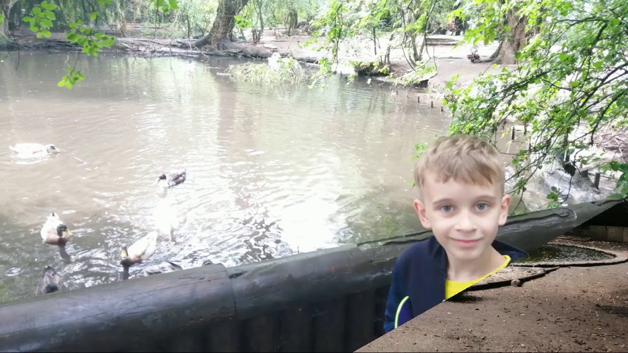 87ä7#+4üpk  Tierpark Nadermann 2020