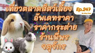 เที่ยวตลาดสัตว์เลี้ยง Ep.247🐰🐰🐰|อัพเดทราคาชกระต่ายร้านพี่พร| #ตลาดจตุจักร  #Chatuchakmarket #กระต่าย