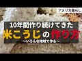ずっと作り続けている米麹の作り方をご紹介します！米麹レシピ！米こうじの作り方！アメリカ暮らし！海外生活！海外で日本食を作る！