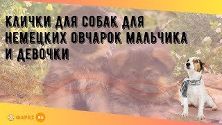 Клички для собак для немецких овчарок мальчика и девочки