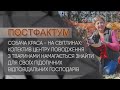 Собача краса - на світлинах