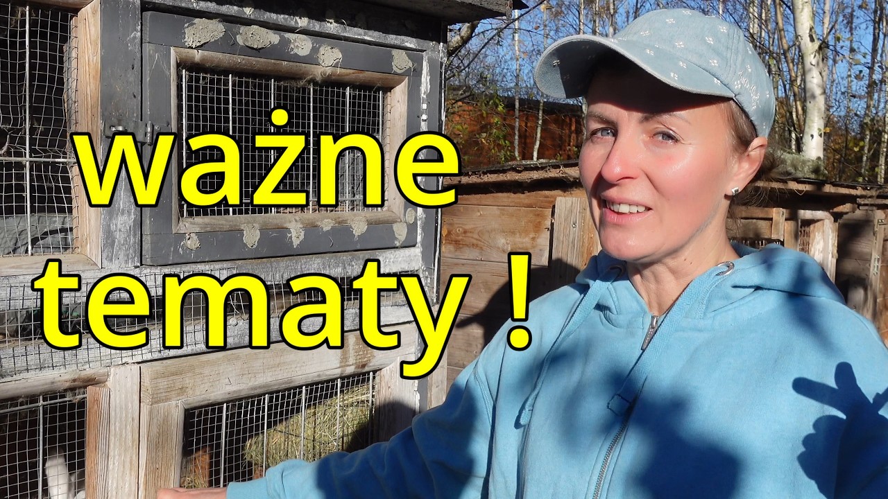 Boaver dla krów w Danii, Przemysł Norek fakty i praca na pasiece 50 uli z InstanVap