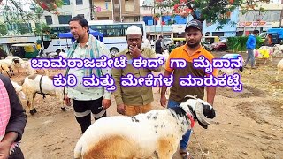 Chamarajpet Eid Ga Maidan Sheep and goats market update | only in Bakrid time market Bangalore
