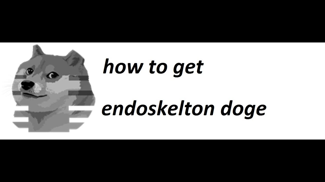 Find The Doge Heads 2 - Endoskeleton Doge - YouTube