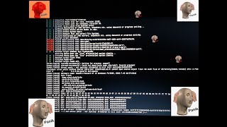 How to solve Linux Mint kernel PANIC! Stuck at black screen!