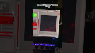 Fluorescent microscopy 🔬