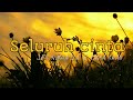 download Lirik Seluruh Cinta Siti Nurhaliza ft Cakra Khan - OPIK2370 download Lirik Seluruh Cinta Siti Nurhaliza ft Cakra Khan - OPIK2370