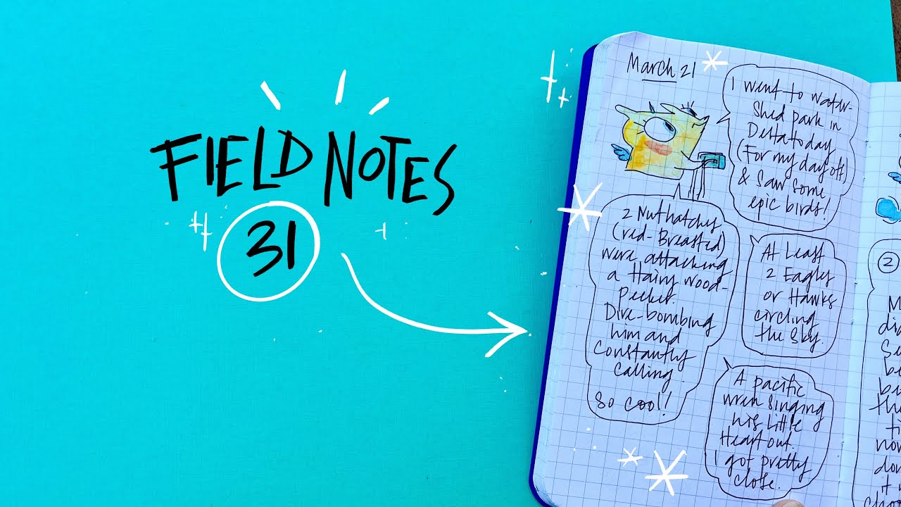 Field Notes 31 - YouTube