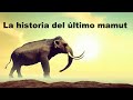La  triste historia del ultimo mamut