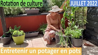 Comment entretenir son POTAGER EN POTS en été ?