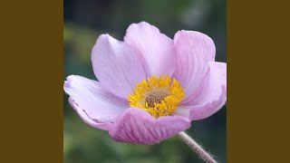 Jangan Salah Menilaiku (Remix)