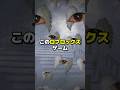 一度入ると抜けれなくなるロブロックスマップ!?【それらを持ってきてください】 #ロブロックス #roblox #都市伝説 #shorts
