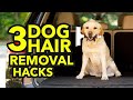 How to Remove Dog Hair from Your Car - Seat, Floor, Interior - 3 Easy DYI Hacks Using Common Items
