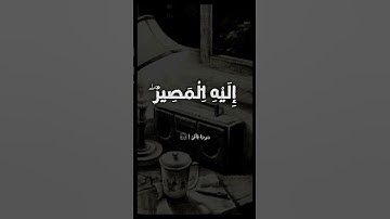 القارئ الشيخ أحمد نعينع، سورة غافر #اكسبلور #المصحف #راحة_نفسية #shortvideo #لايك #تيك_توك