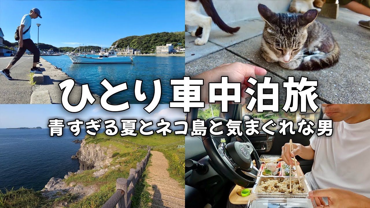 青すぎる夏の思い出。呼子で車中泊。ネコ島もあるよ。｜ゆるく生きる【vol.24】