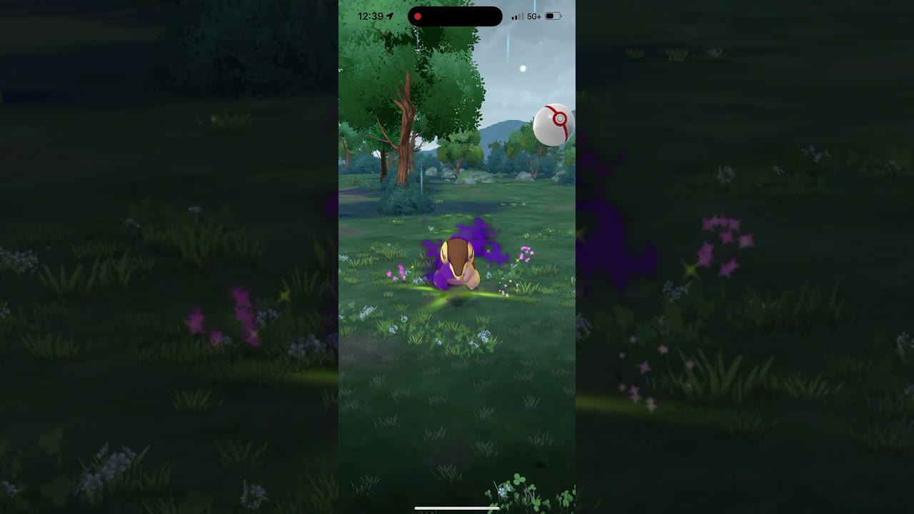 Catching Shiny Shadow Cyndaquil In Pokémon Go