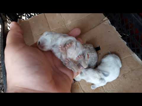 მირჩიეთ რამე როგორ მოვიქცე