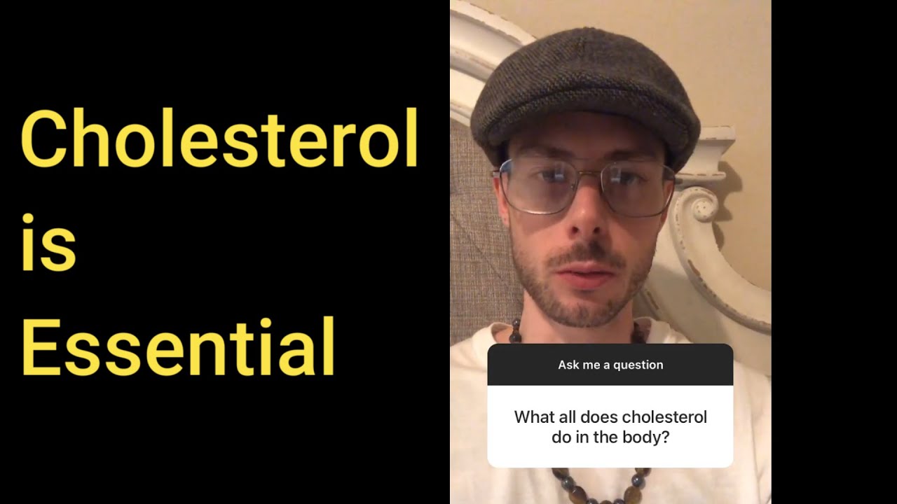 Cholesterol is Essential - nervous system, hormones, skin, & more