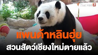 แพนด้าหลินฮุ่ยสวนสัตว์เชียงใหม่ตายแล้ว | จับตาสถานการณ์ | 19 เม.ย. 66