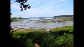 the Maine Tides outside