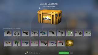 First Horizon Case Opening: Success screenshot 3
